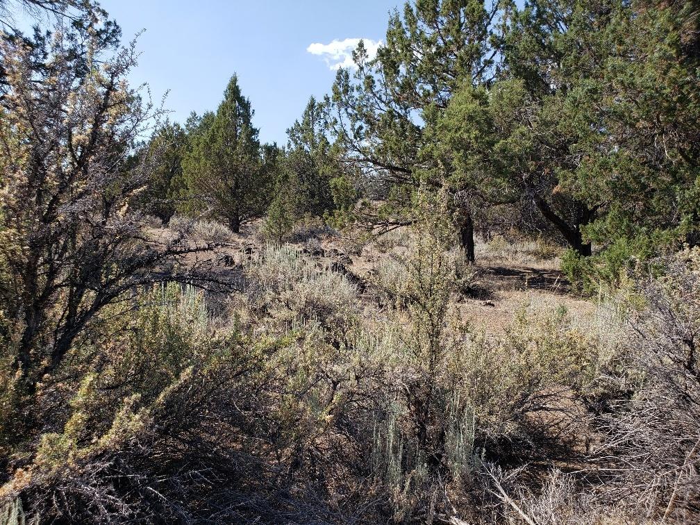 Nimrod River Park - Land