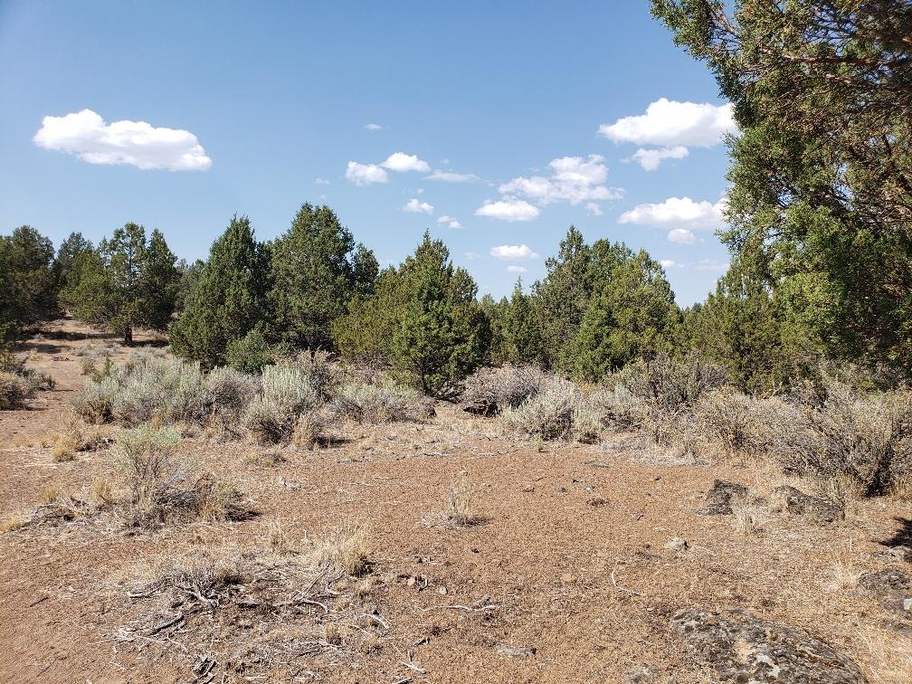 Nimrod River Park - Land