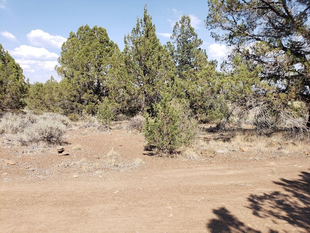 Nimrod River Park - Land