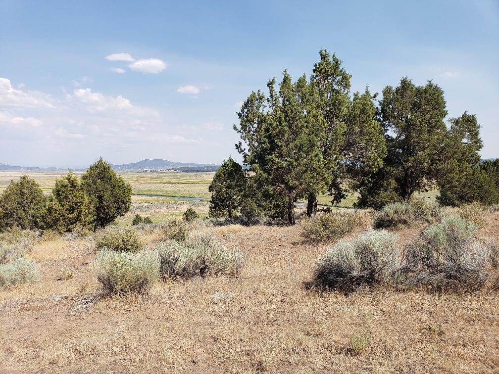 Nimrod River Park - Land