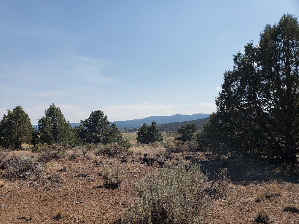 Nimrod River Park - Land