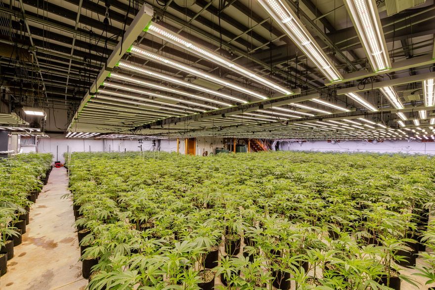 OLCC Licensed Tier 1 Marijuana Production facility in La Pine, Oregon. This 4,310 sqft building features 3-phase power with 400 amps. A flowering canopy space of 2024 sqft featuring 74 LED lights and 35 tons of AC, 5-225 pint quest dehumidifiers keep the environment cool and controlled. The facility runs on well water so there's no need to worry about water cost. With an additional veg room, dry room, office, and restroom, you'll have everything you need entering the market immediately at a great lease price of $1 per sqft. Sale includes the OLCC license and all essential equipment—ready for immediate operation. Located in La Pine Oregon, this is a rare opportunity to step into a compliant, high-performing grow in one of Oregon's most desirable areas.