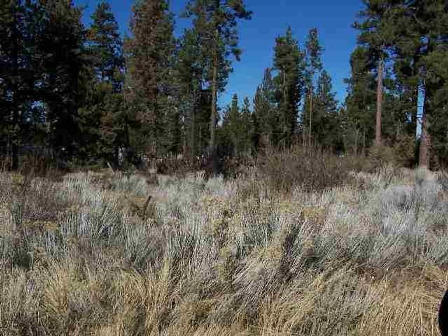Getting Hard To Find-affordable 1 Acre Lot In Irish Bend Near Williamson River With Access From Community Lot. Short Distance To Chiloquin Or Klamath Falls. You Can Build Your Dream/Vacation Home Or Place A Manufactured Home Here.