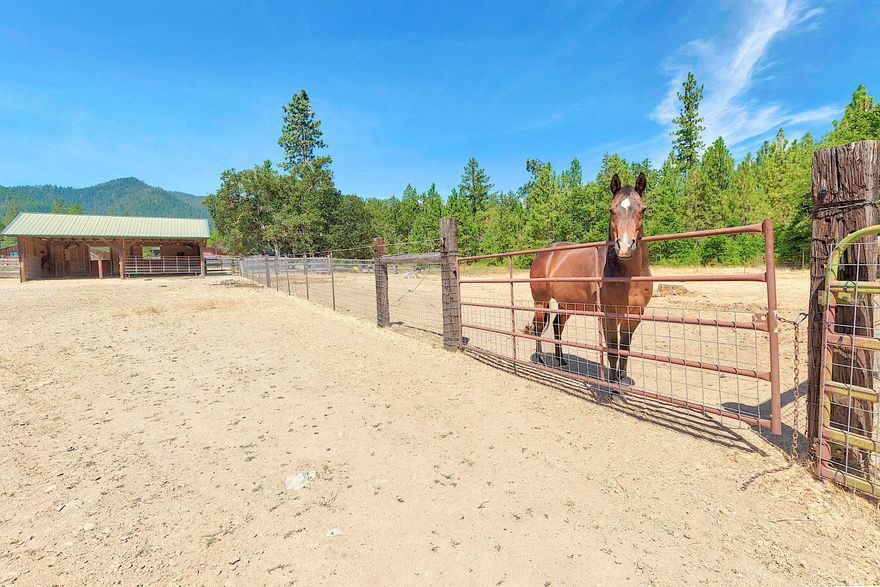 Exceptional 17.46 acre equestrian estate with panoramic Applegate Valley views! This turnkey ranch borders Pacifica - A Garden in the Siskiyous and BLM land for unmatched privacy and direct access to endless riding trails. The 3 bedroom, 2 1/2 bath custom home features vaulted ceilings, hardwood floors, a wraparound porch, and a spacious basement. The 48'x40' barn includes a tack room, washroom with storage, 6 horse stalls, and a kennel, plus a 768 sq. ft. guest quarters. Horse amenities also include a 100'x160' all-weather arena, 55' round pen, huge hay barn, and 4 separate run in horse shelters. Fenced cross-fenced pastures~ ideal for rotational grazing. Additional features include an oversized 2-car garage, 3-bay carport, RV parking, seasonal creek, pond, and 3 wells. One high-producing well is dedicated to irrigation for lush, green pastures year-round. This spectacular property is a rare blend of privacy, natural beauty, and equestrian functionality in a premier location!