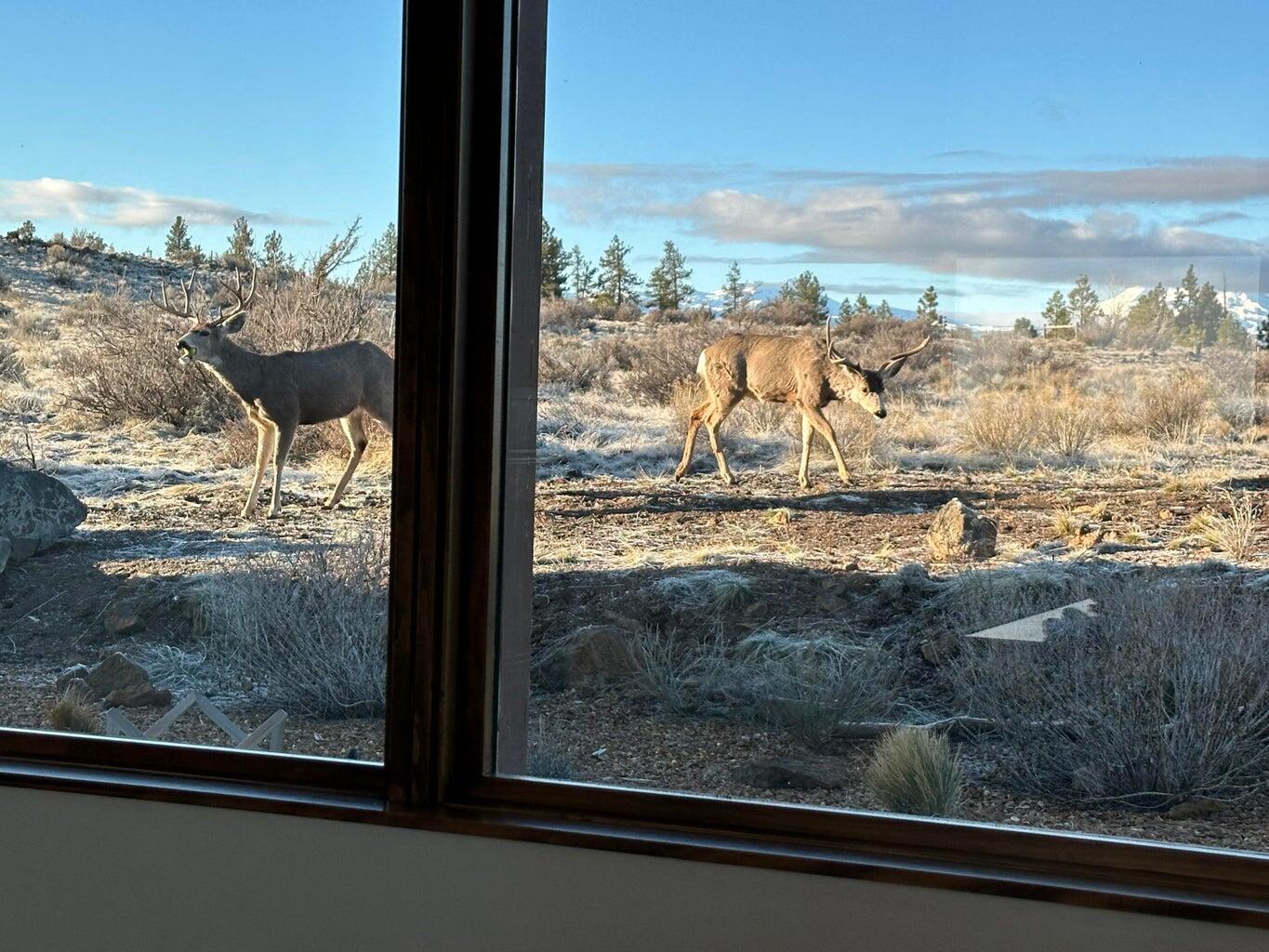 Henkle Butte - Residential