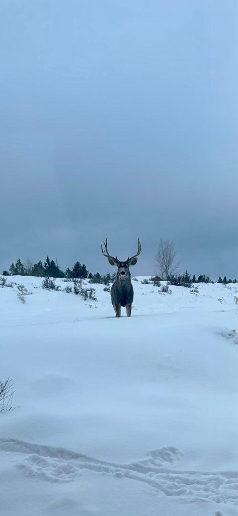 Henkle Butte - Residential
