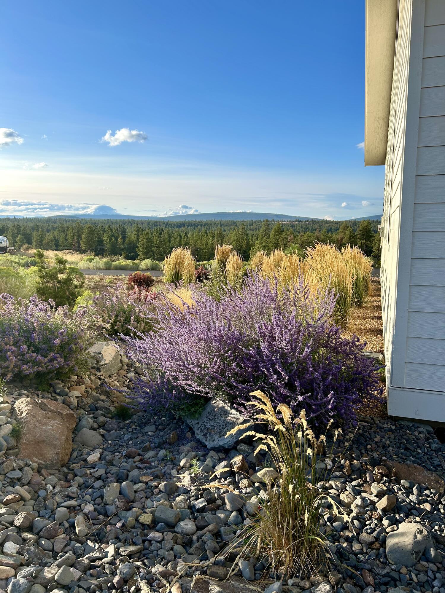 Henkle Butte - Residential