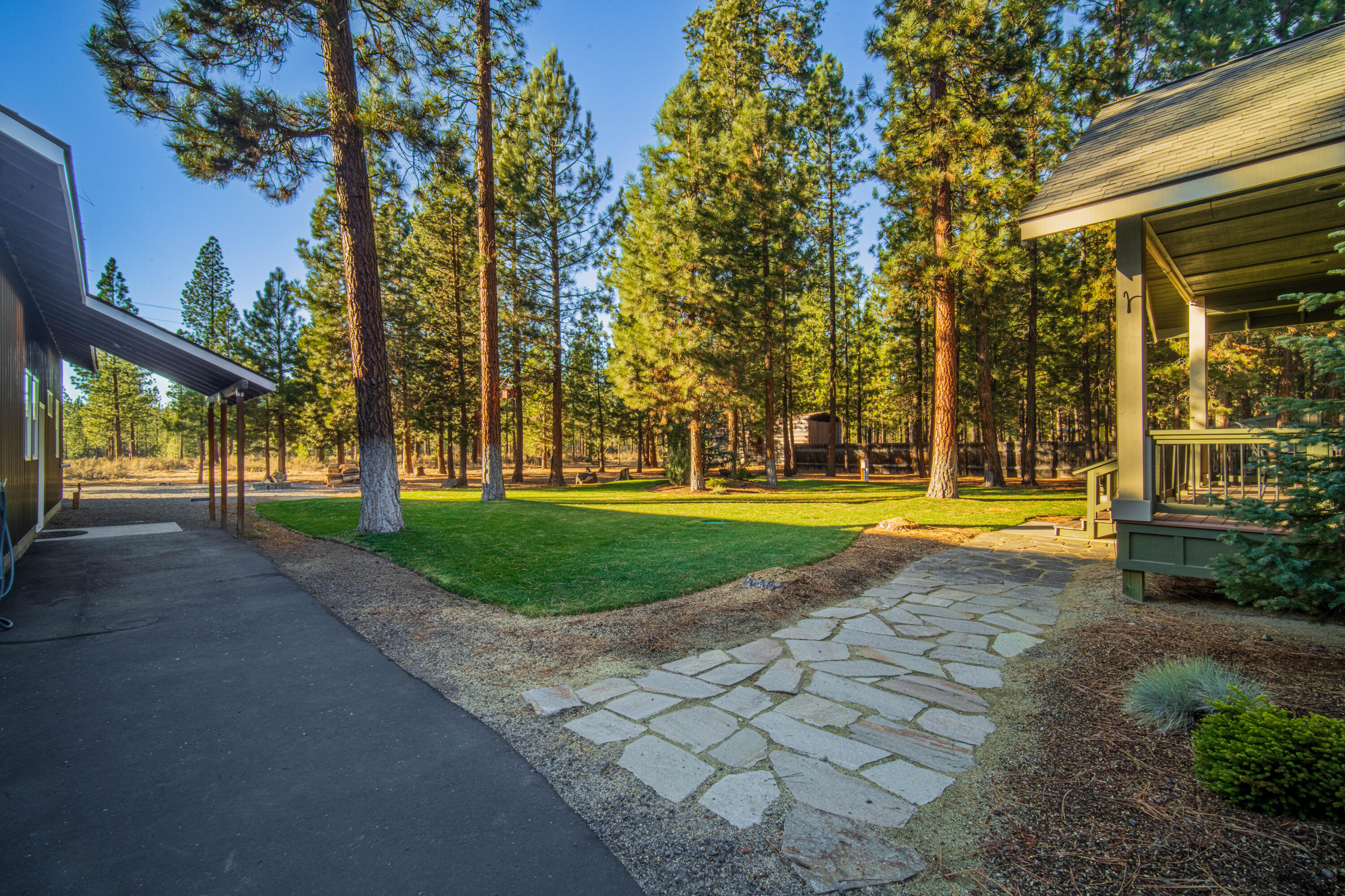 Ponderosa Pines - Residential