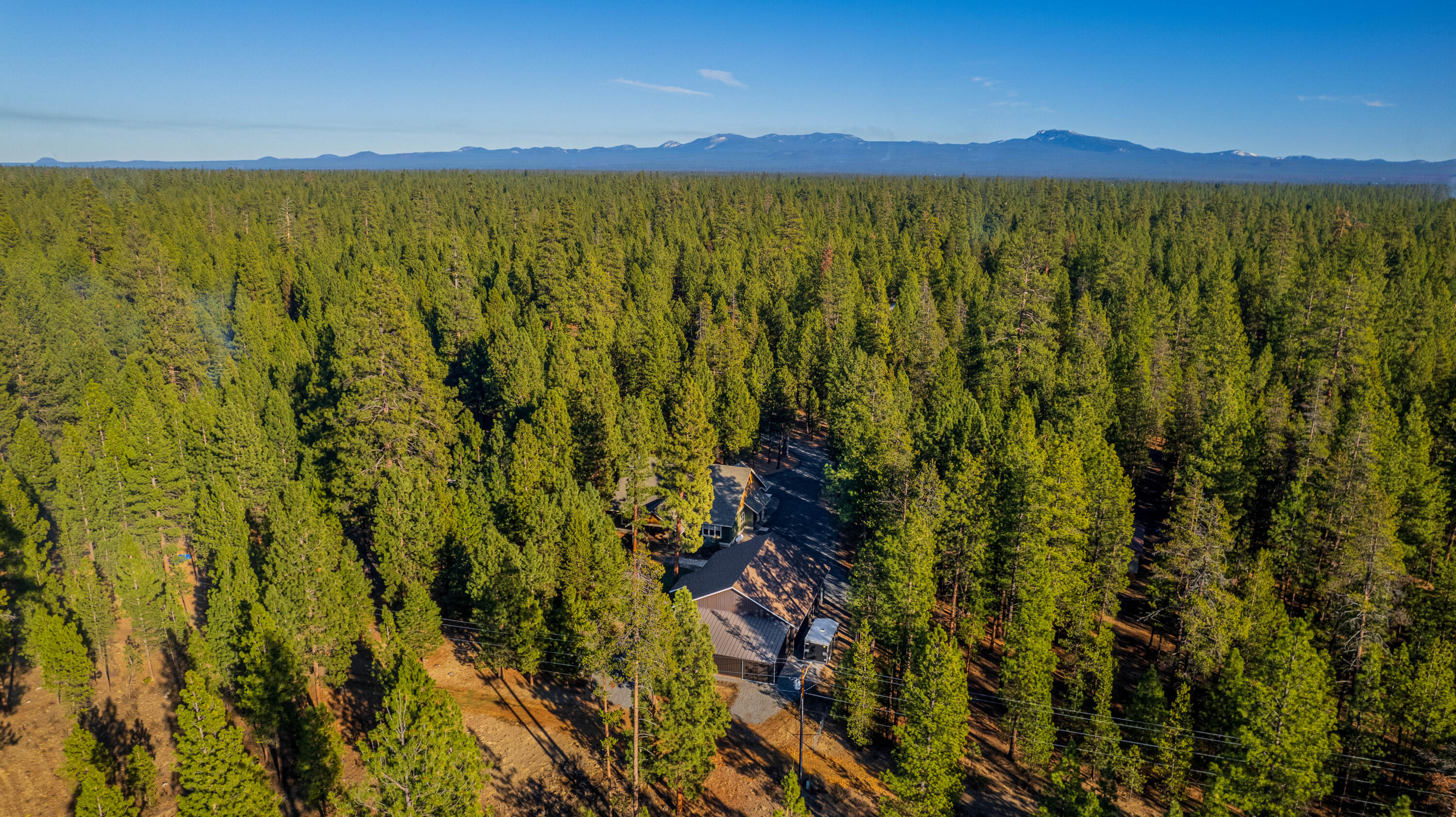 Ponderosa Pines - Residential