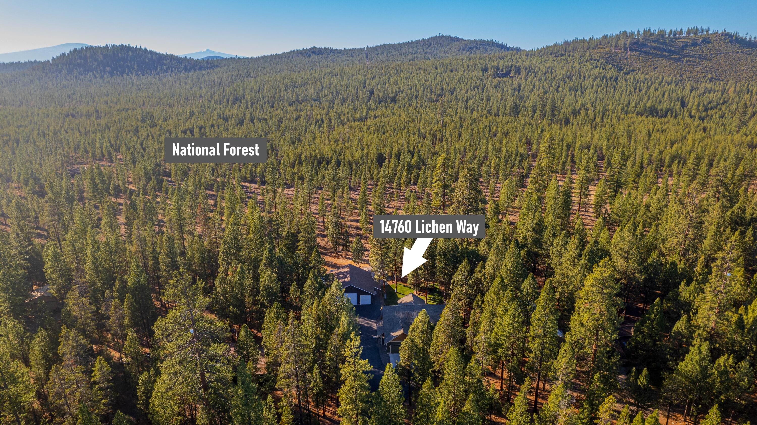 Ponderosa Pines - Residential