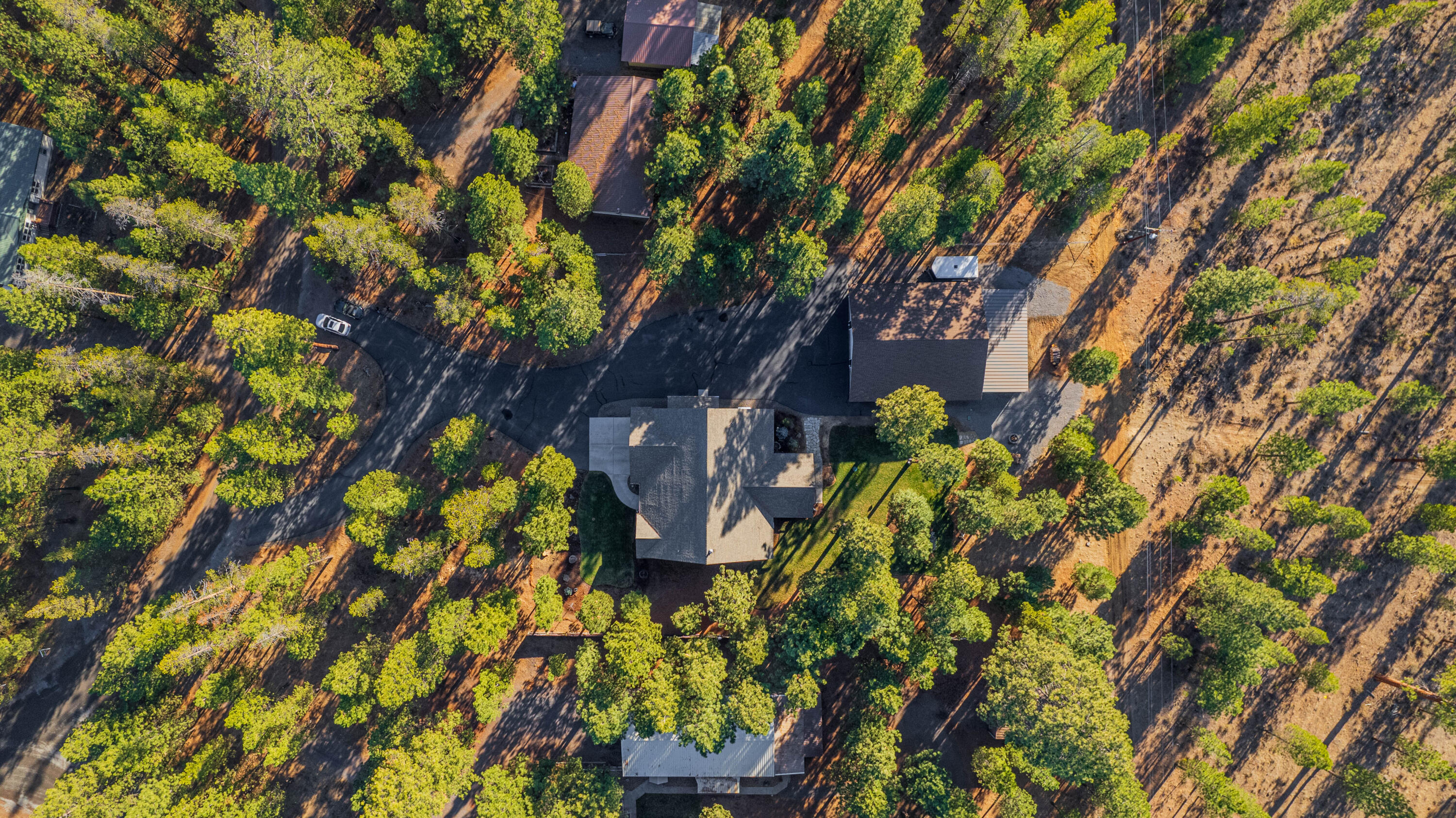 Ponderosa Pines - Residential