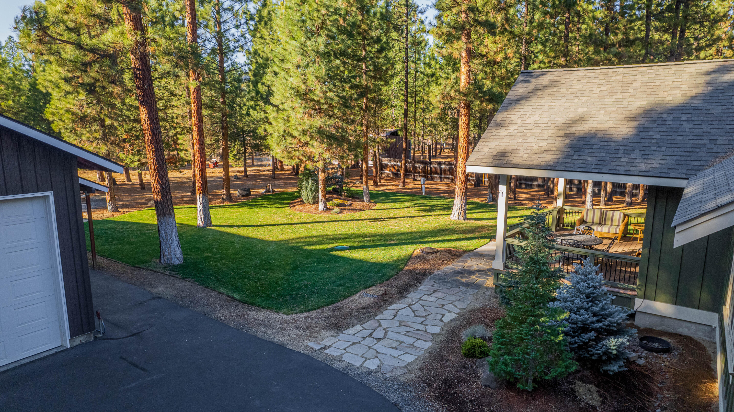 Ponderosa Pines - Residential