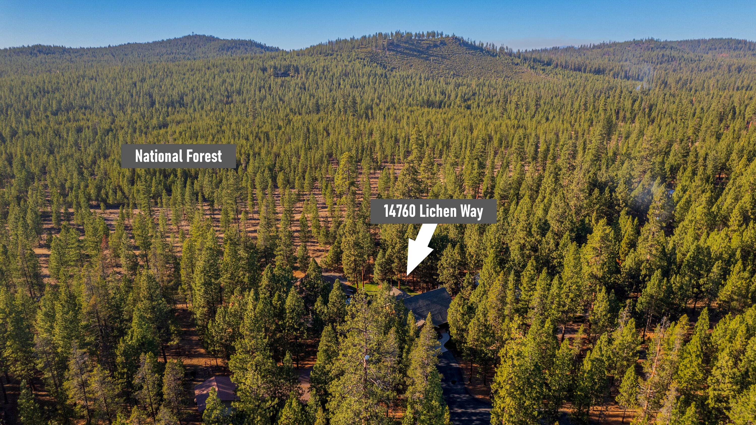 Ponderosa Pines - Residential