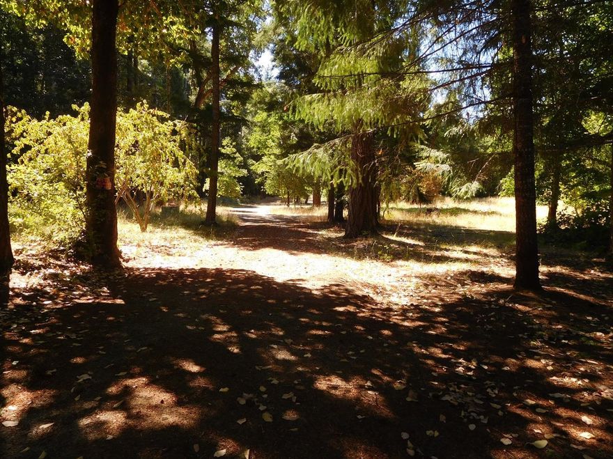 This is a really nice parcel close to the end of the cul-de-sac. Not far from Highway 199 so easy trip to downtown Cave Junction. Parcel is level with some nice tall timber and some fruit trees as well. There is a well on record at 10 gpm.