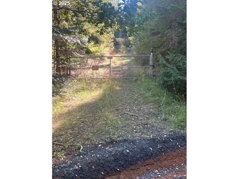 Tiny photo for 1890 Upper Camas Road, Camas Valley, OR 97416 (MLS # 220217284)