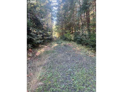 Tiny photo for 1890 Upper Camas Road, Camas Valley, OR 97416 (MLS # 220217284)