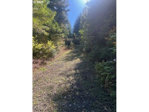 Tiny photo for 1890 Upper Camas Road, Camas Valley, OR 97416 (MLS # 220217284)