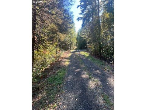 Tiny photo for 1890 Upper Camas Road, Camas Valley, OR 97416 (MLS # 220217284)