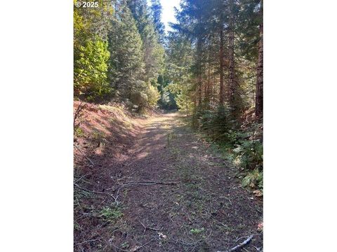 Tiny photo for 1890 Upper Camas Road, Camas Valley, OR 97416 (MLS # 220217284)