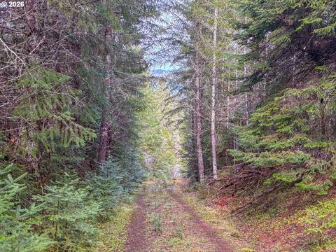 Tiny photo for 1890 Upper Camas Road, Camas Valley, OR 97416 (MLS # 220217284)