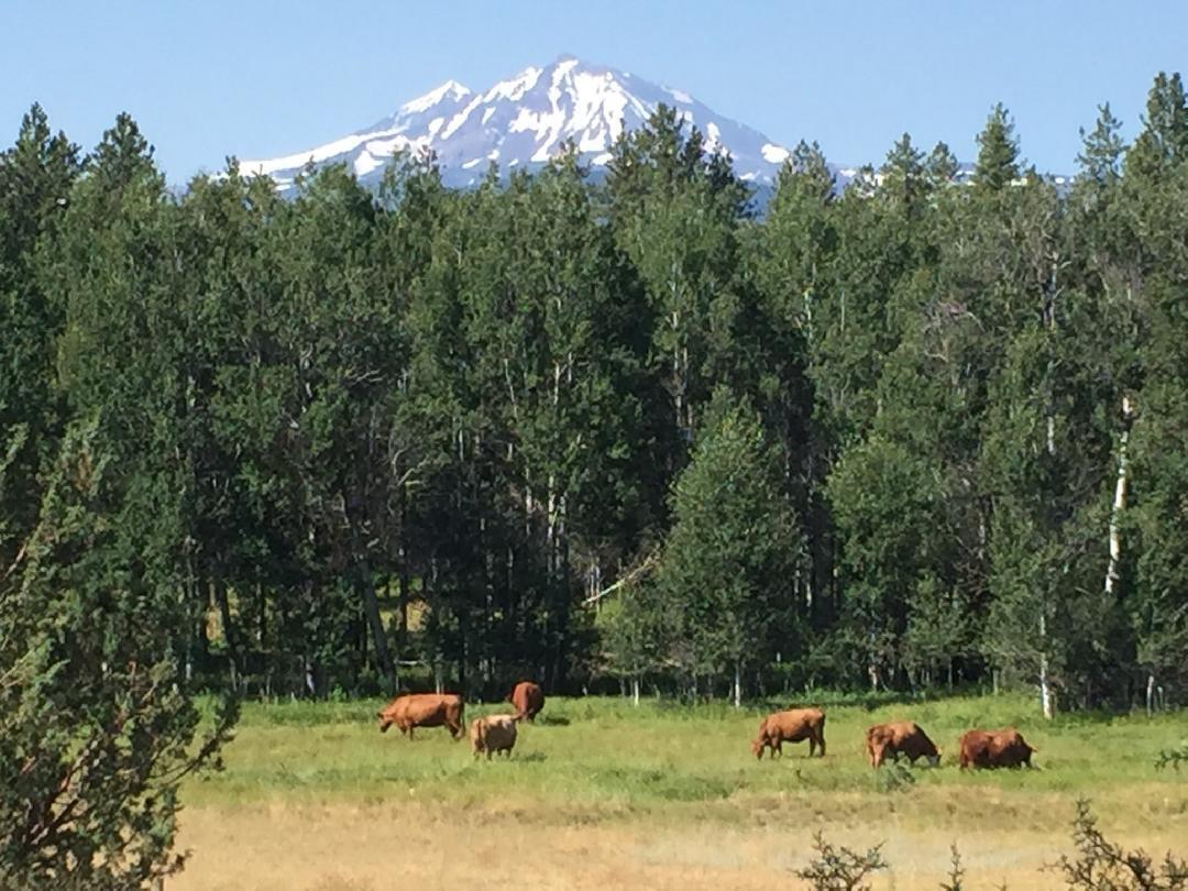 Indian Ford Ranch - Residential