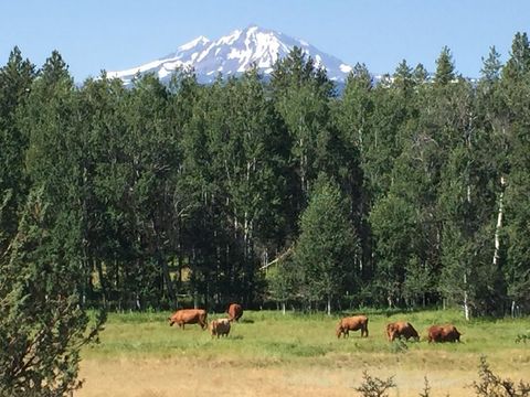 Tiny photo for 69947 Meadow View Road, Sisters, OR 97759 (MLS # 220213100)