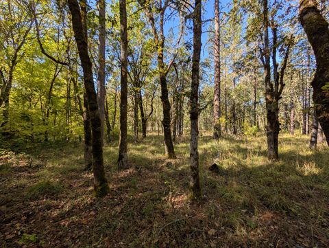 Tiny photo for 1080 Ferry Road, Grants Pass, OR 97526 (MLS # 220210774)