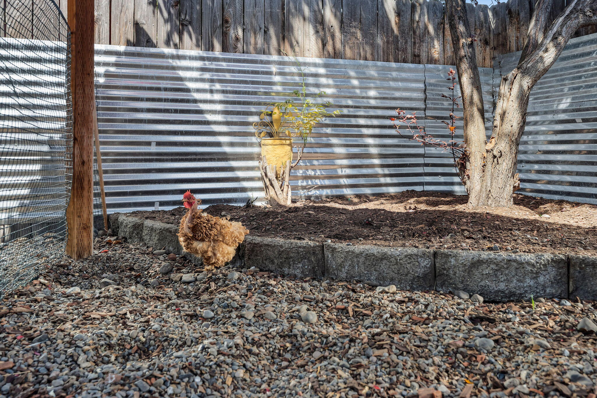 Diamond Bar Ranch - Residential