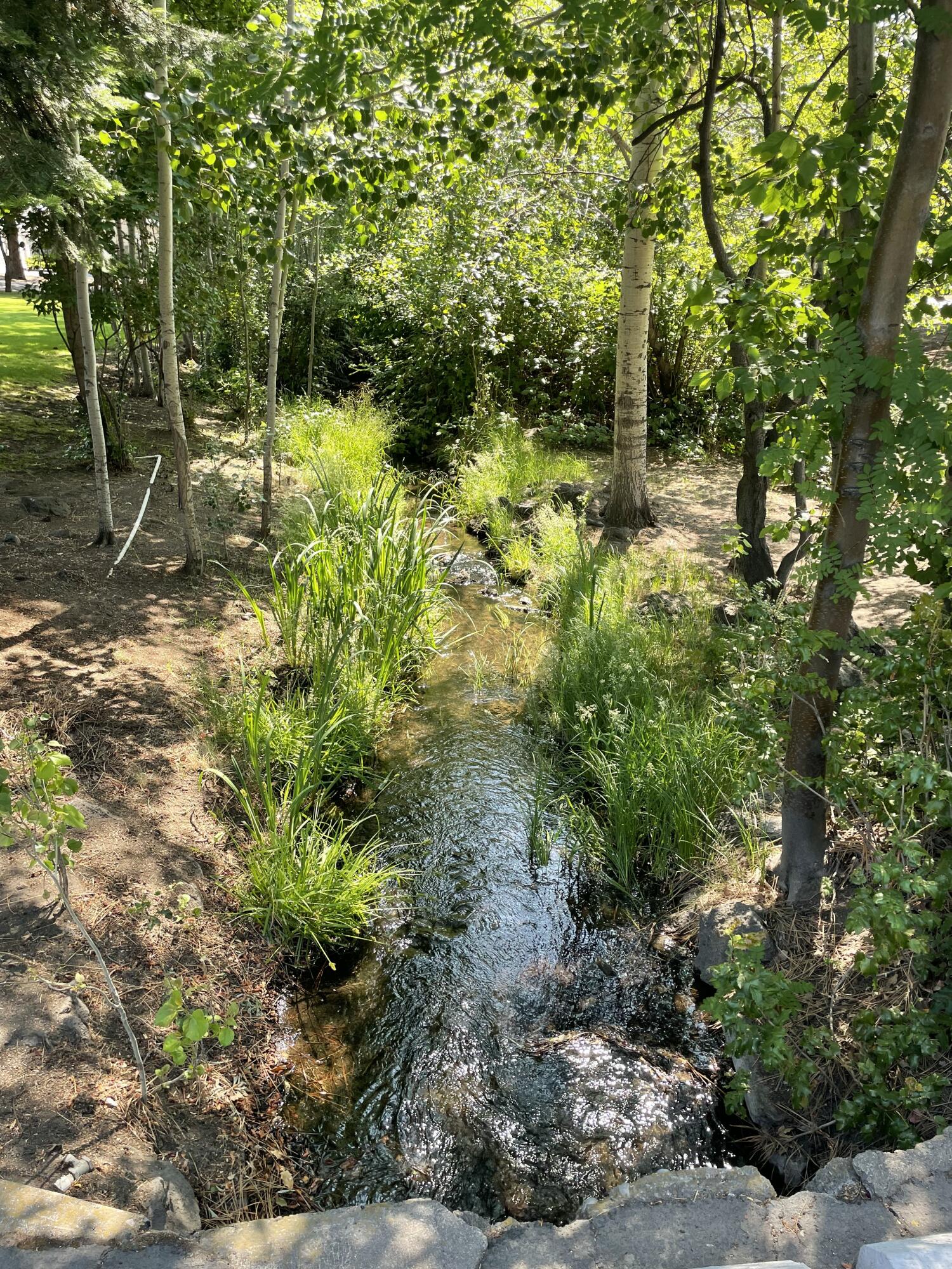 N/A - Residential Income