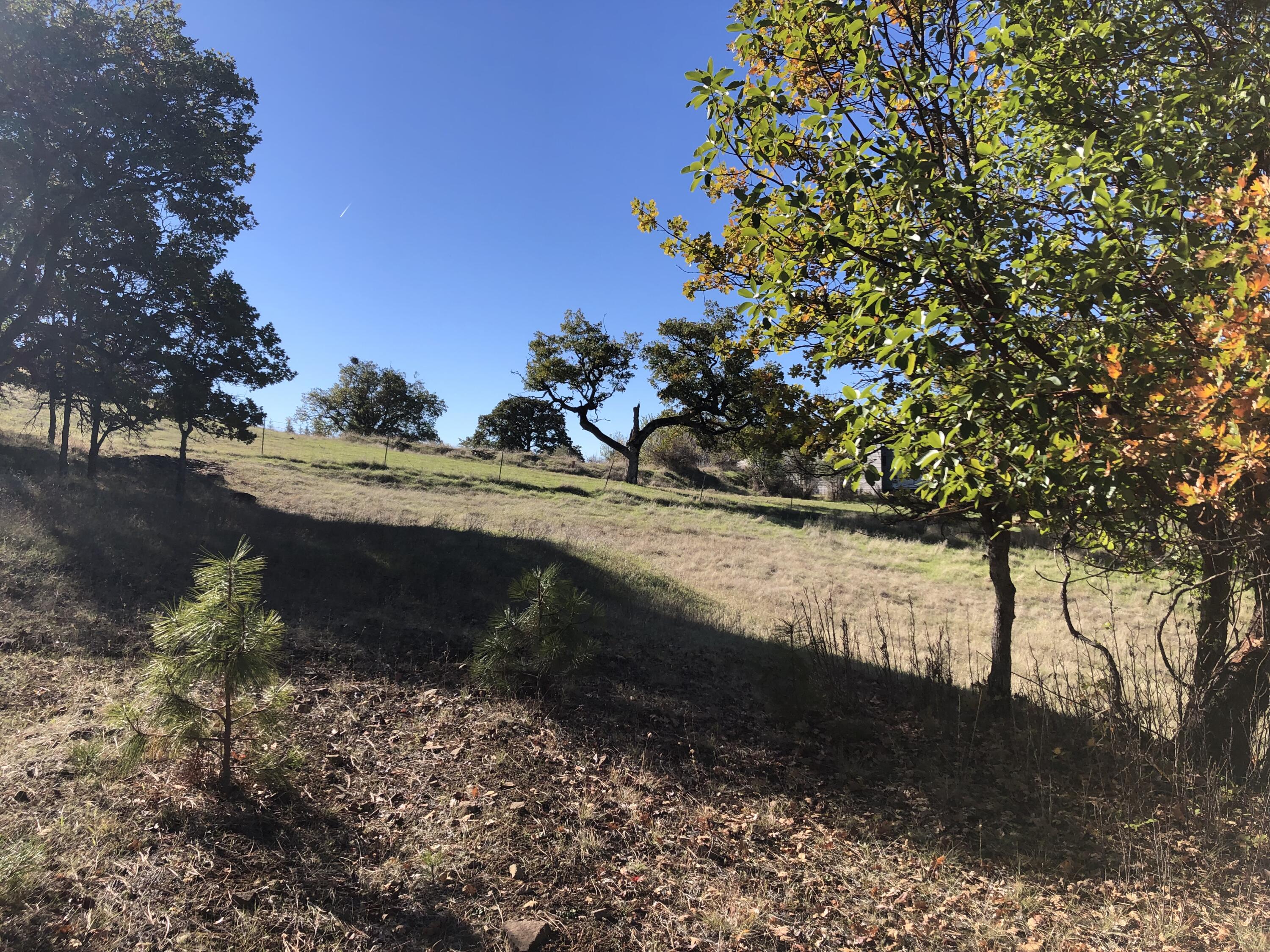 Manzanita Hills - Land