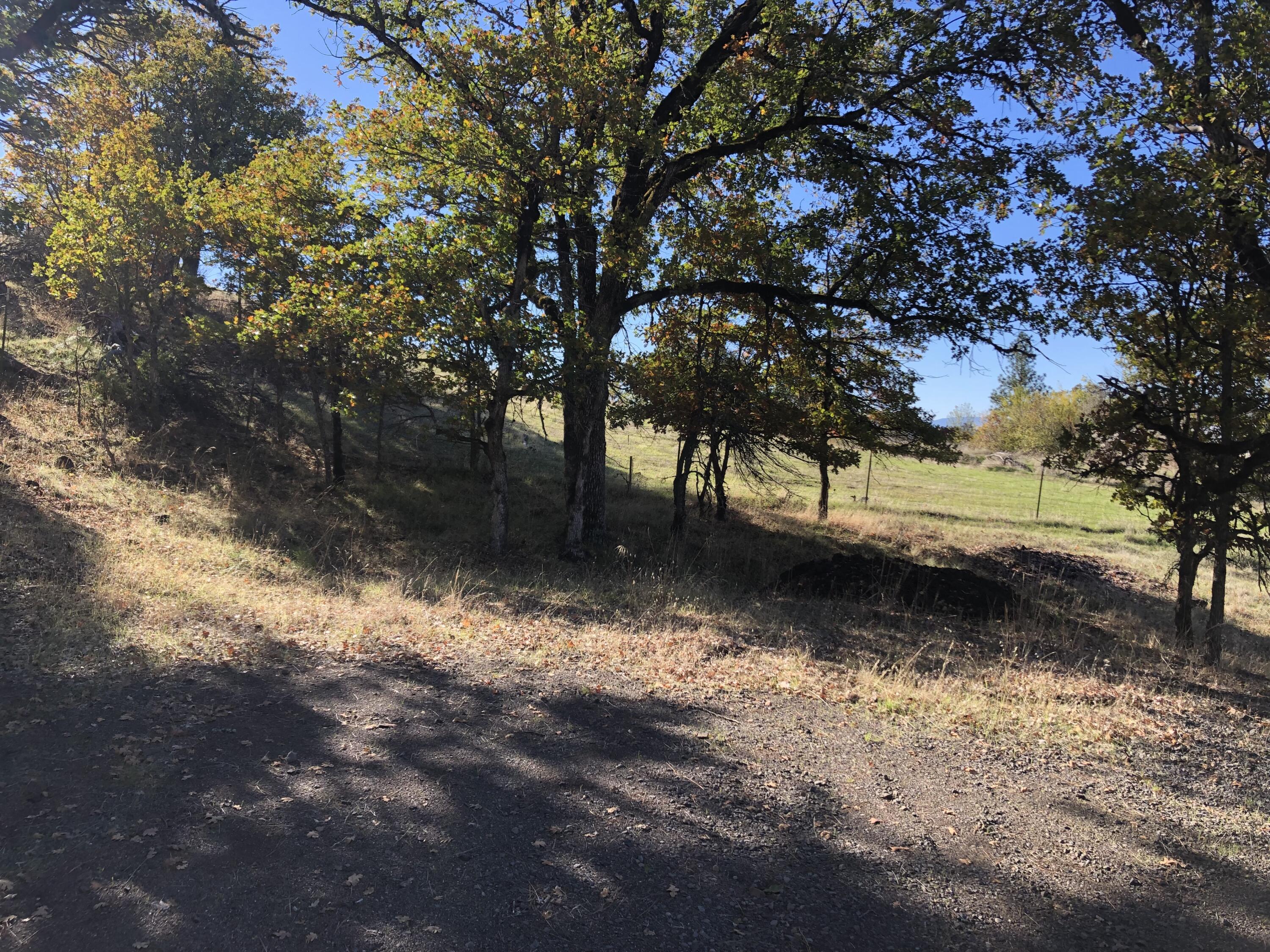 Manzanita Hills - Land