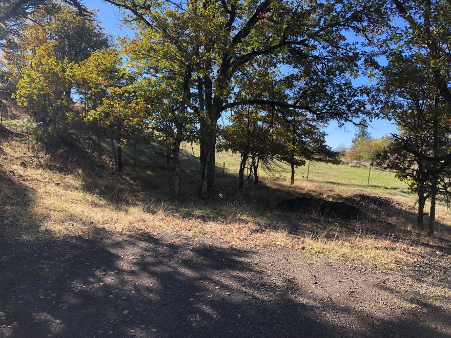 If you are looking for a great view lot with privacy from neighbors? This ½ + lot is it! No through traffic makes this a very quiet building site on a paved road. Special features include community water, sewer, power and even irrigation water to the property. Water, sewer and irrigation billed separately in addition to the monthly fee of only $35 for the association fee. Manufactured homes are allowed that are at least 1300 sq. ft. and must have a 2 car garage. An outstanding value in Shady cove.