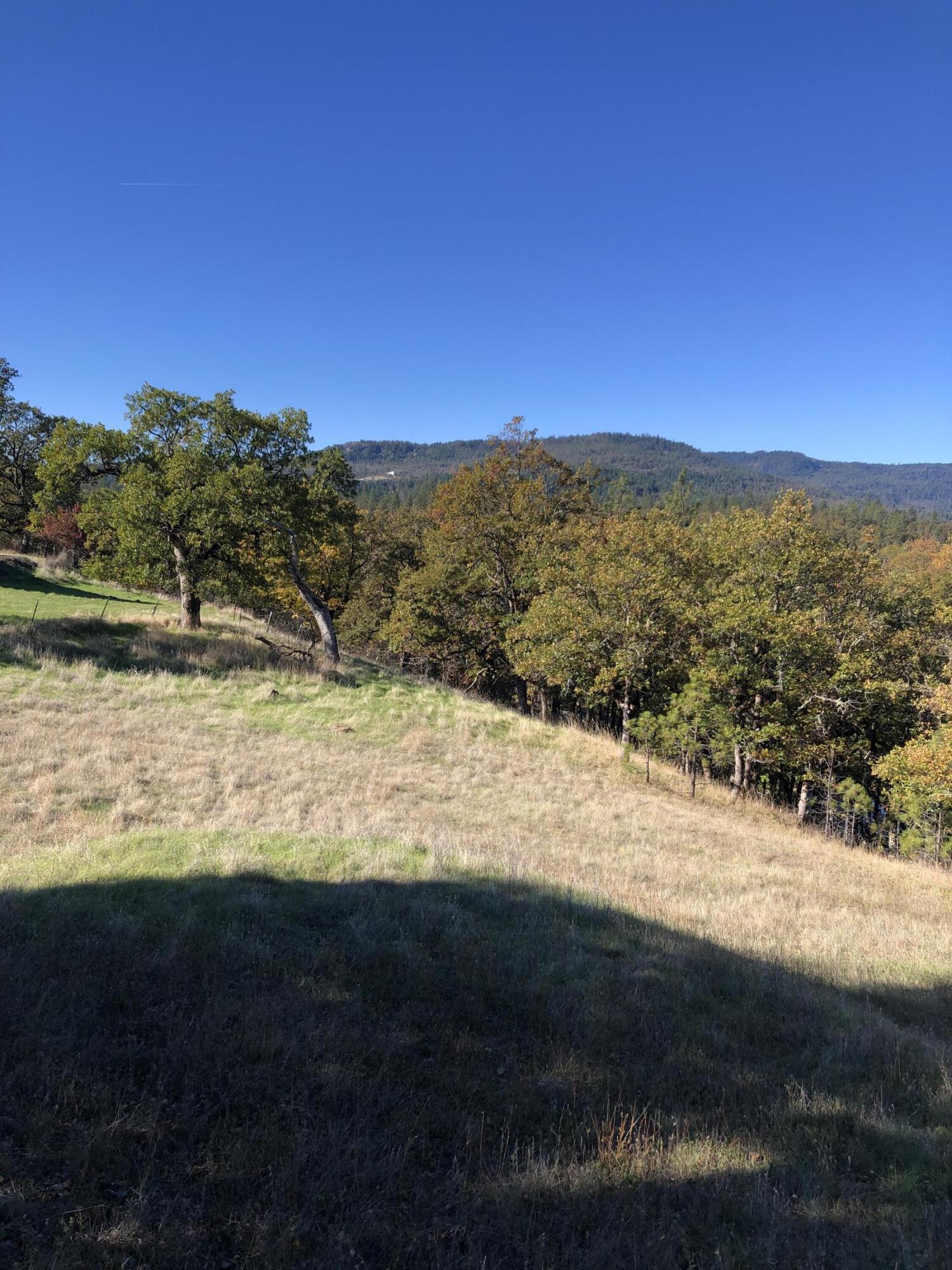 Manzanita Hills - Land