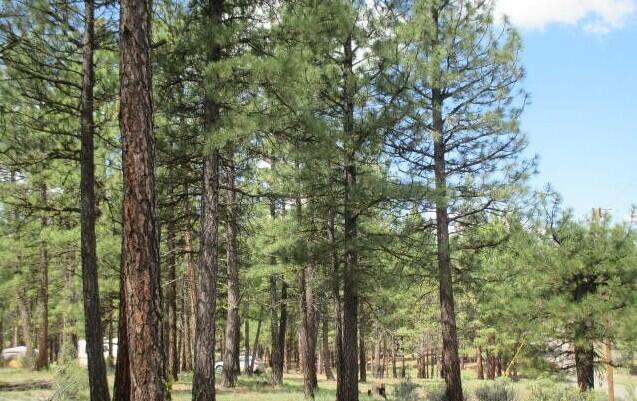 Klamath Country - Land