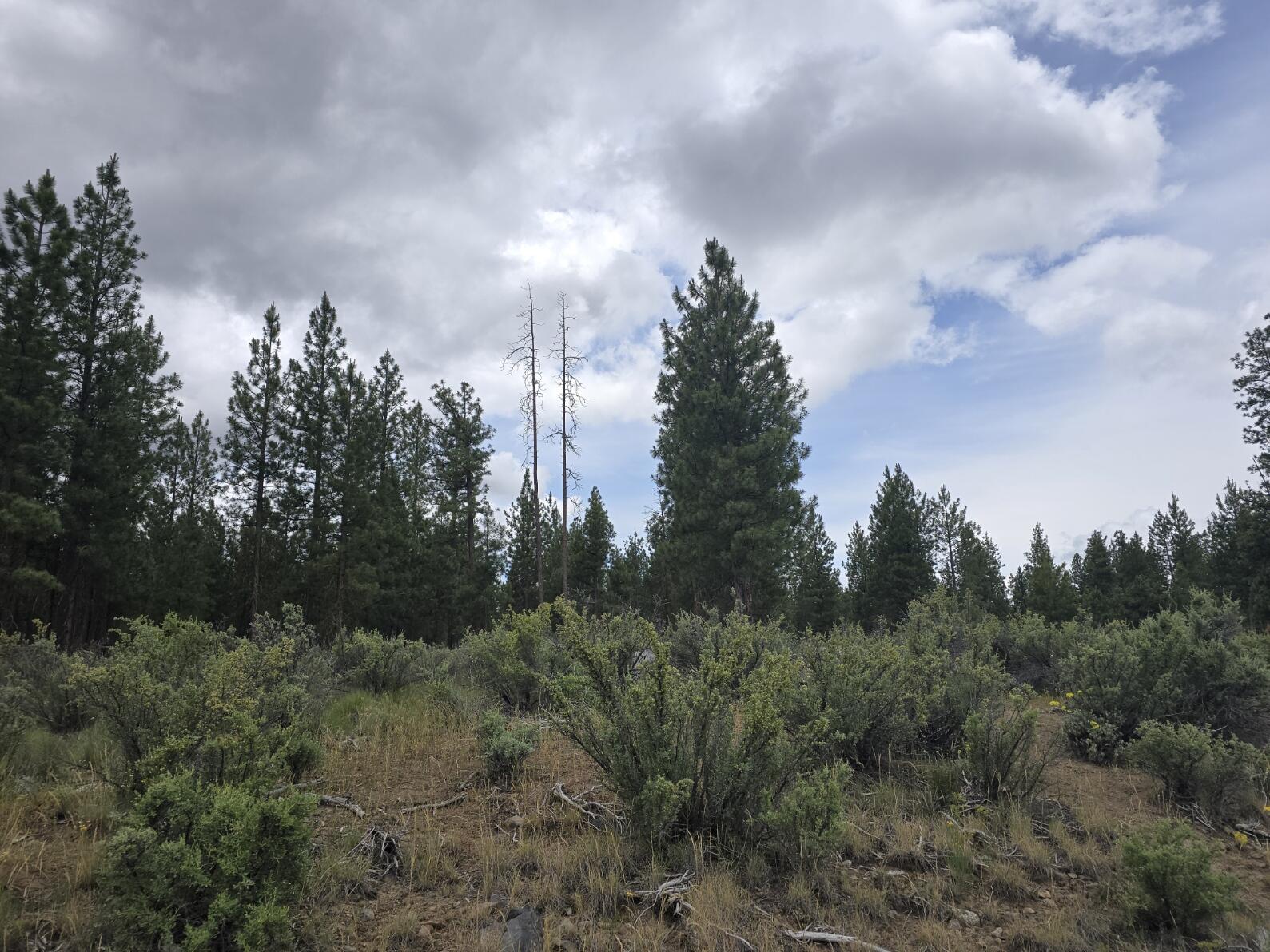 Sprague River - Land