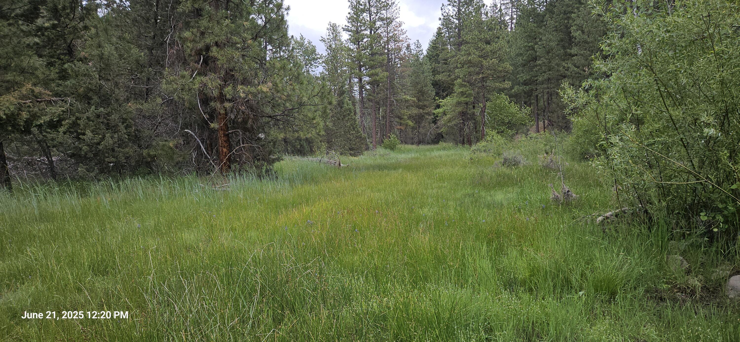 Sprague River - Land