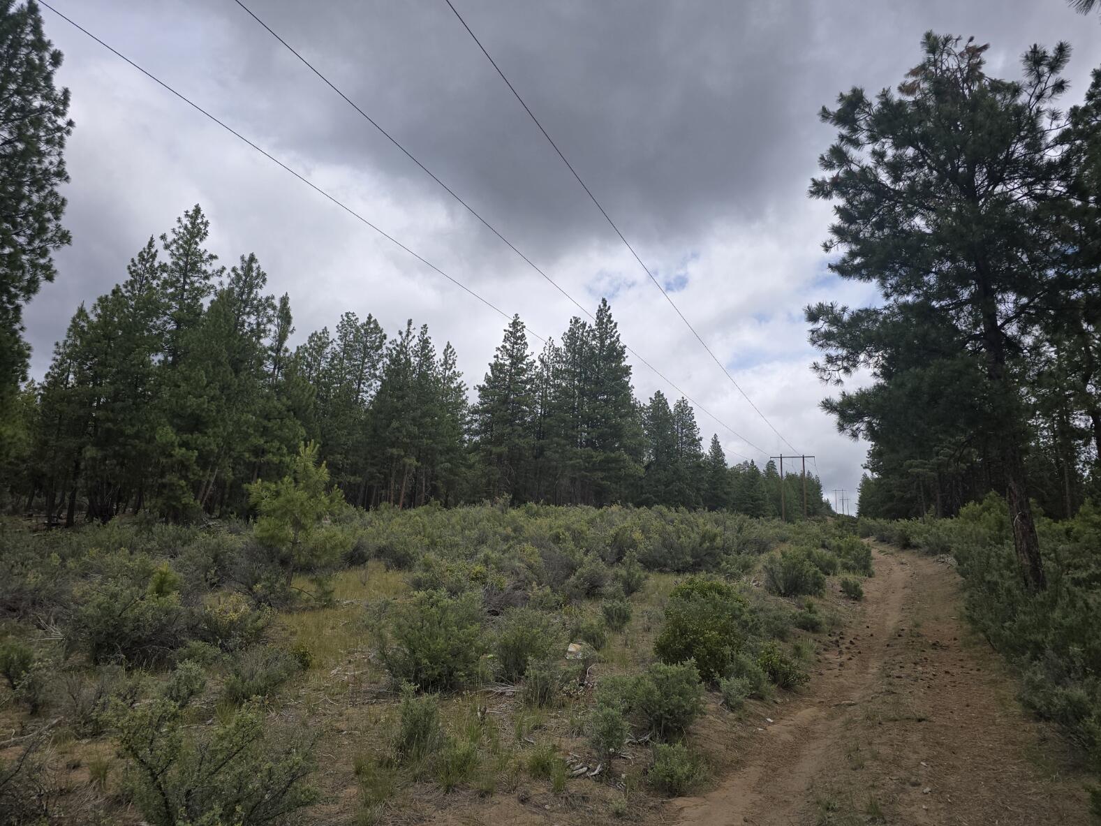 Sprague River - Land