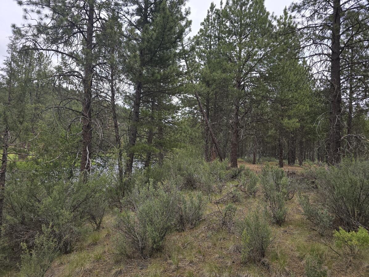 Sprague River - Land