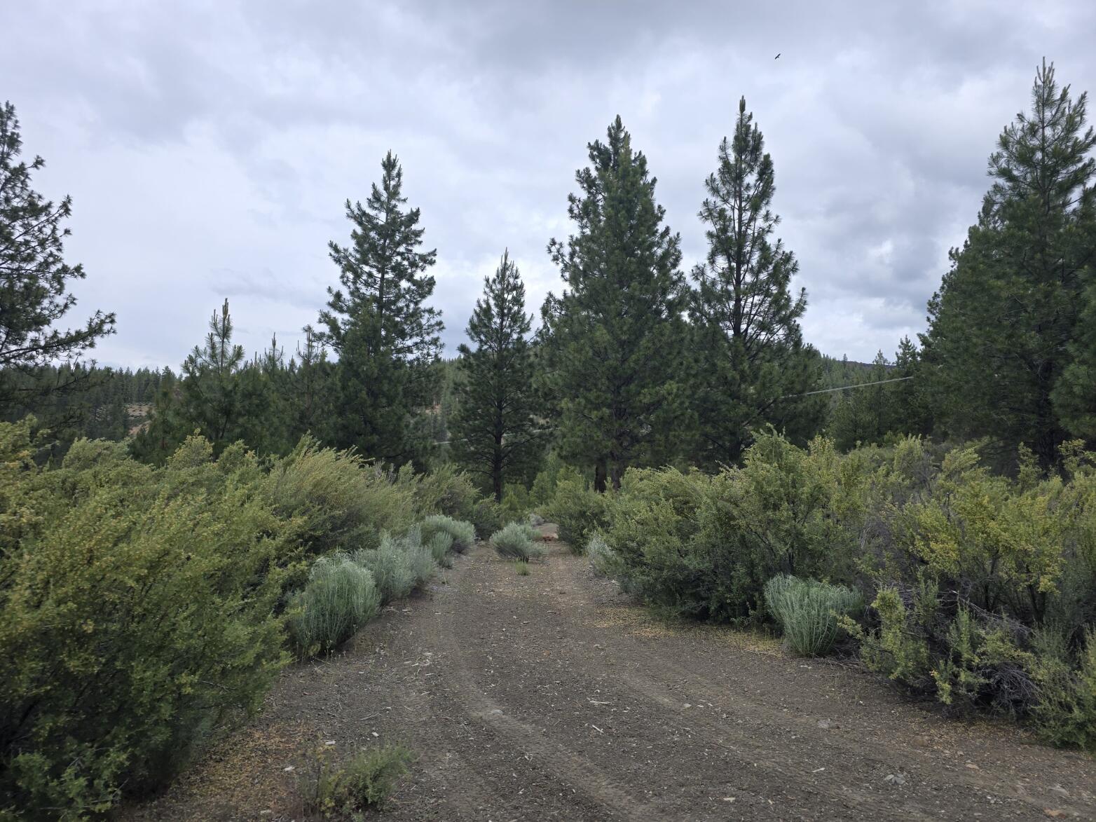 Sprague River - Land