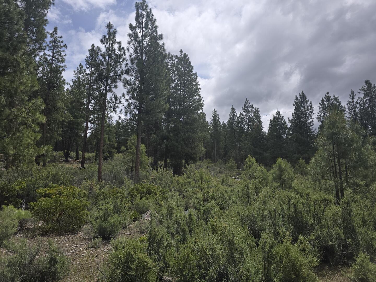 Sprague River - Land