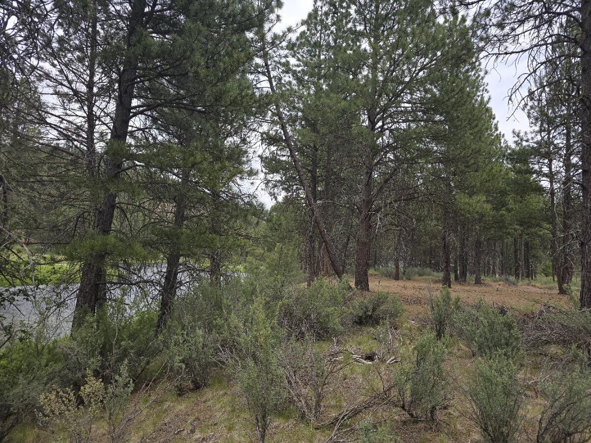 Sprague River - Land