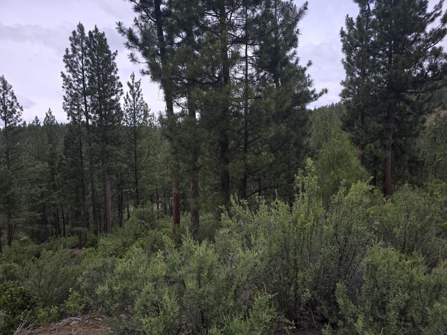 Sprague River - Land