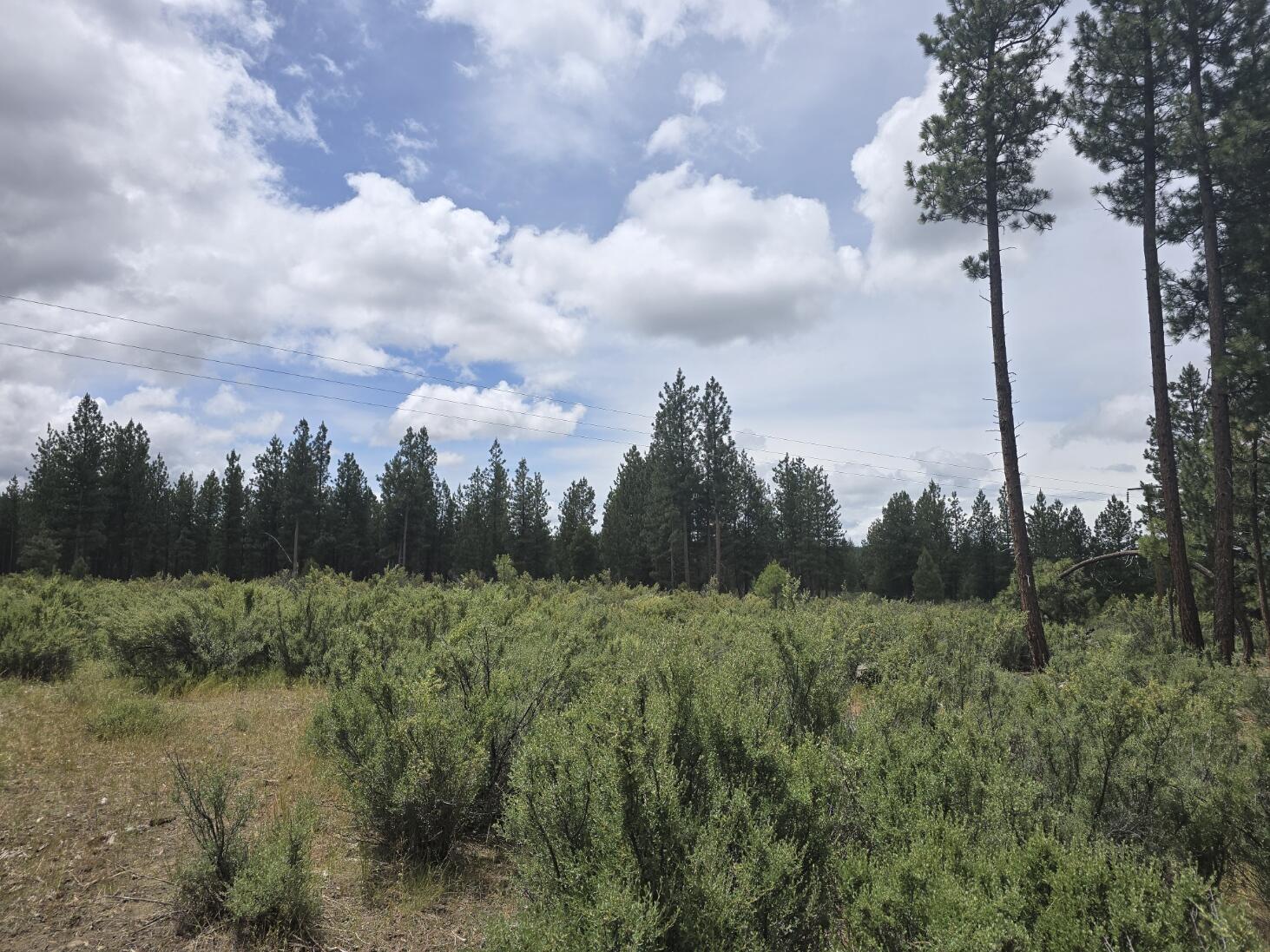 Sprague River - Land