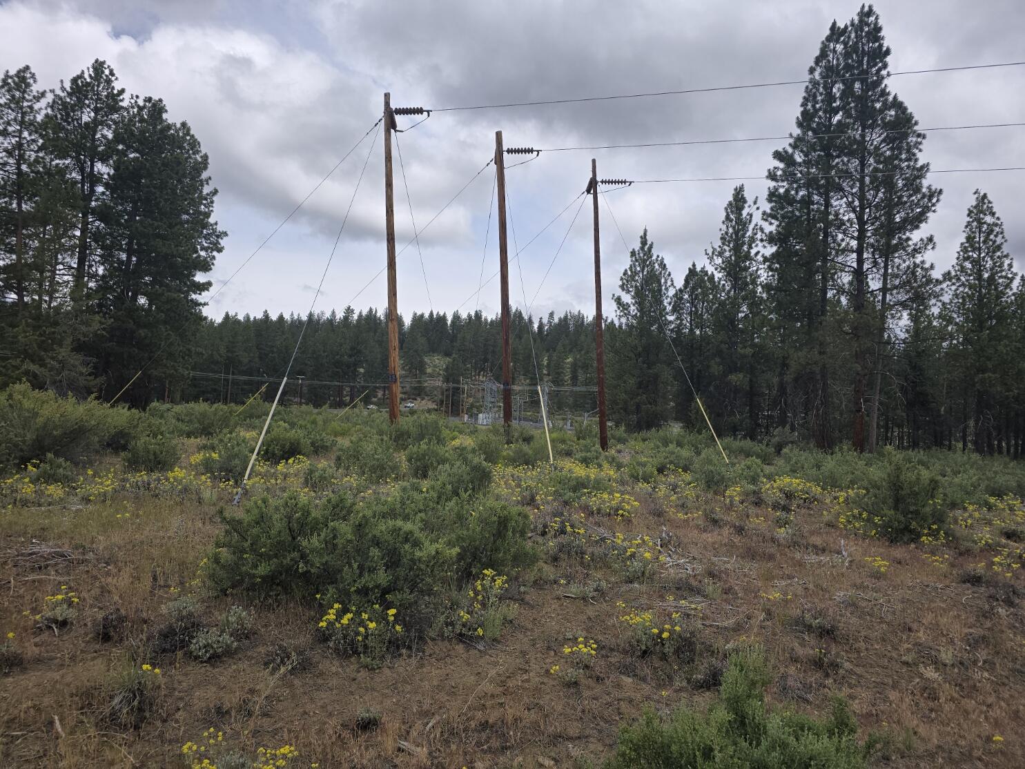 Sprague River - Land