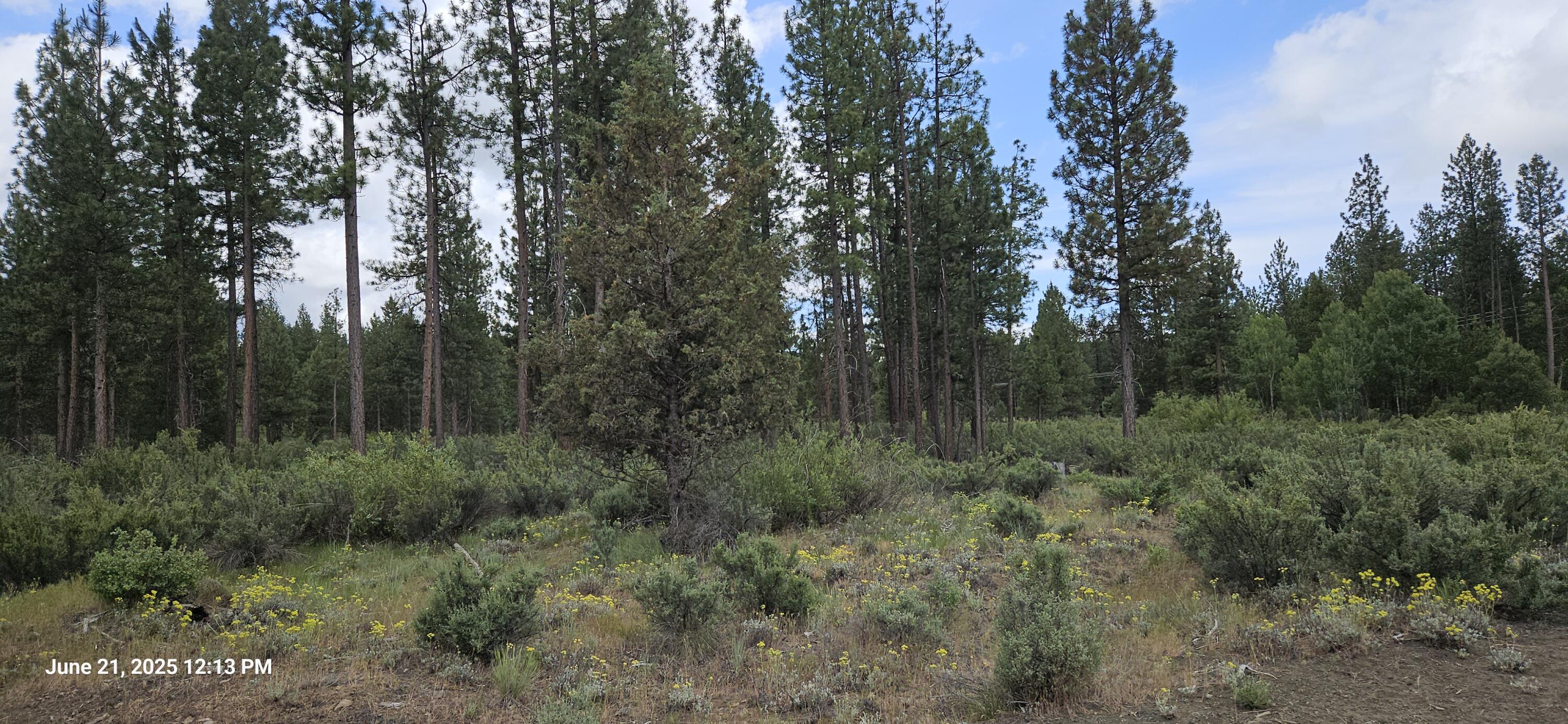 Sprague River - Land