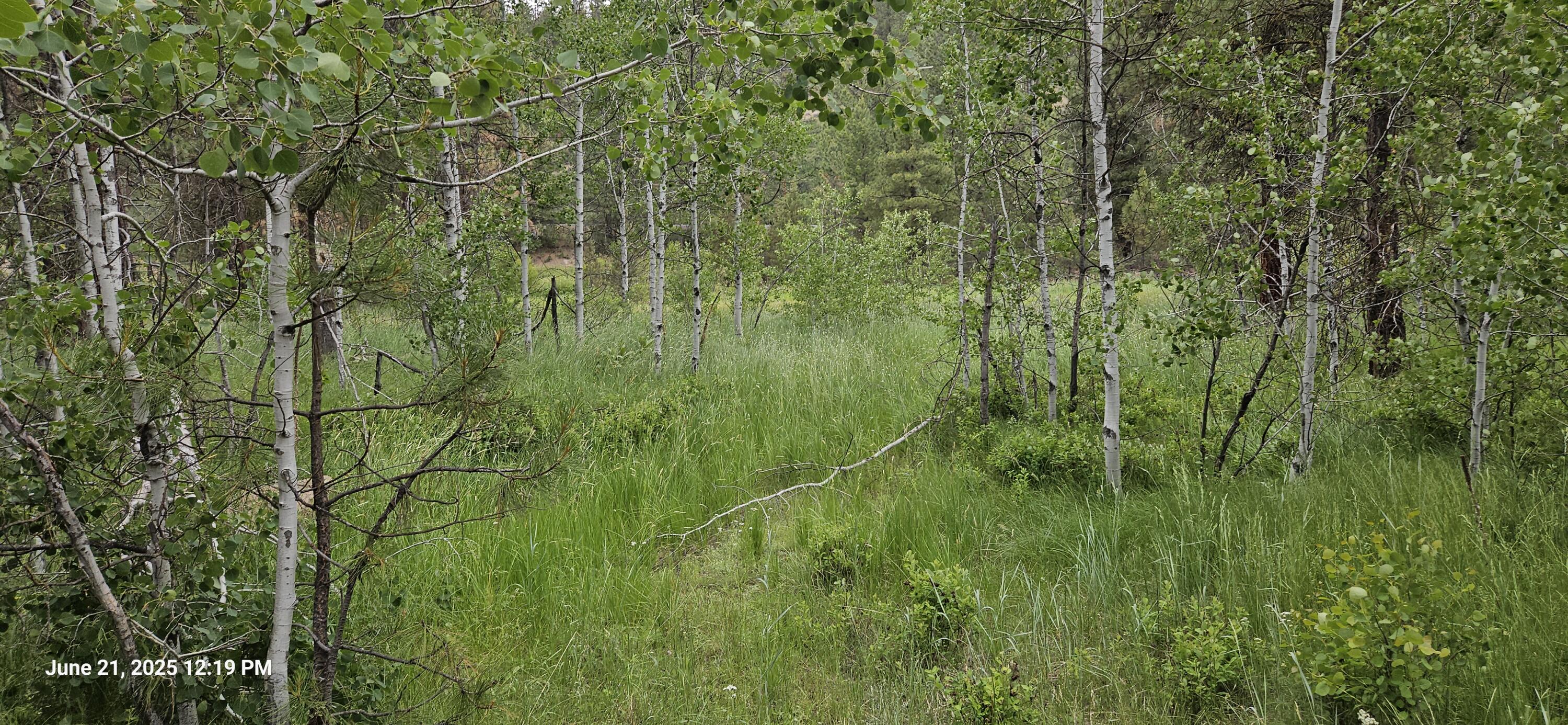 Sprague River - Land