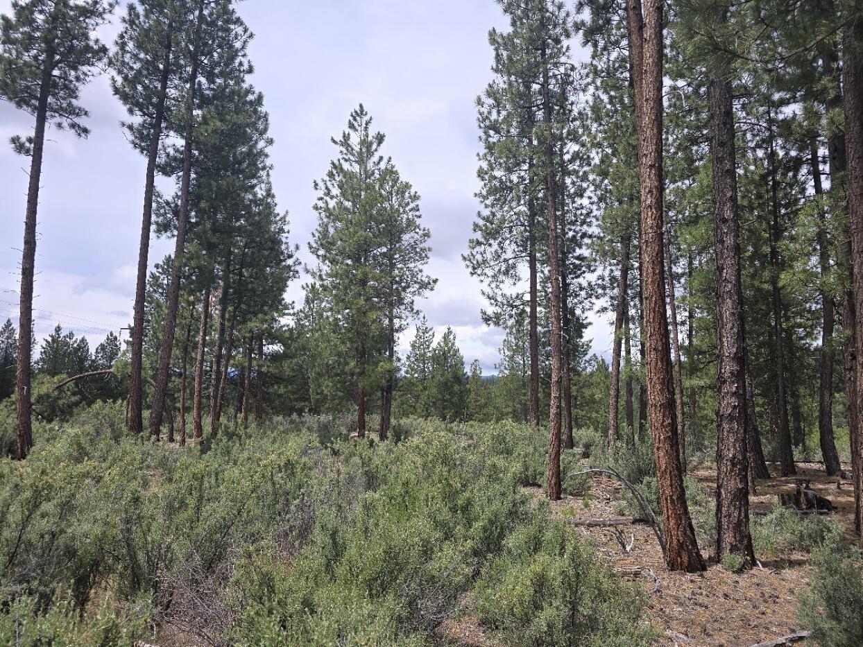 Sprague River - Land