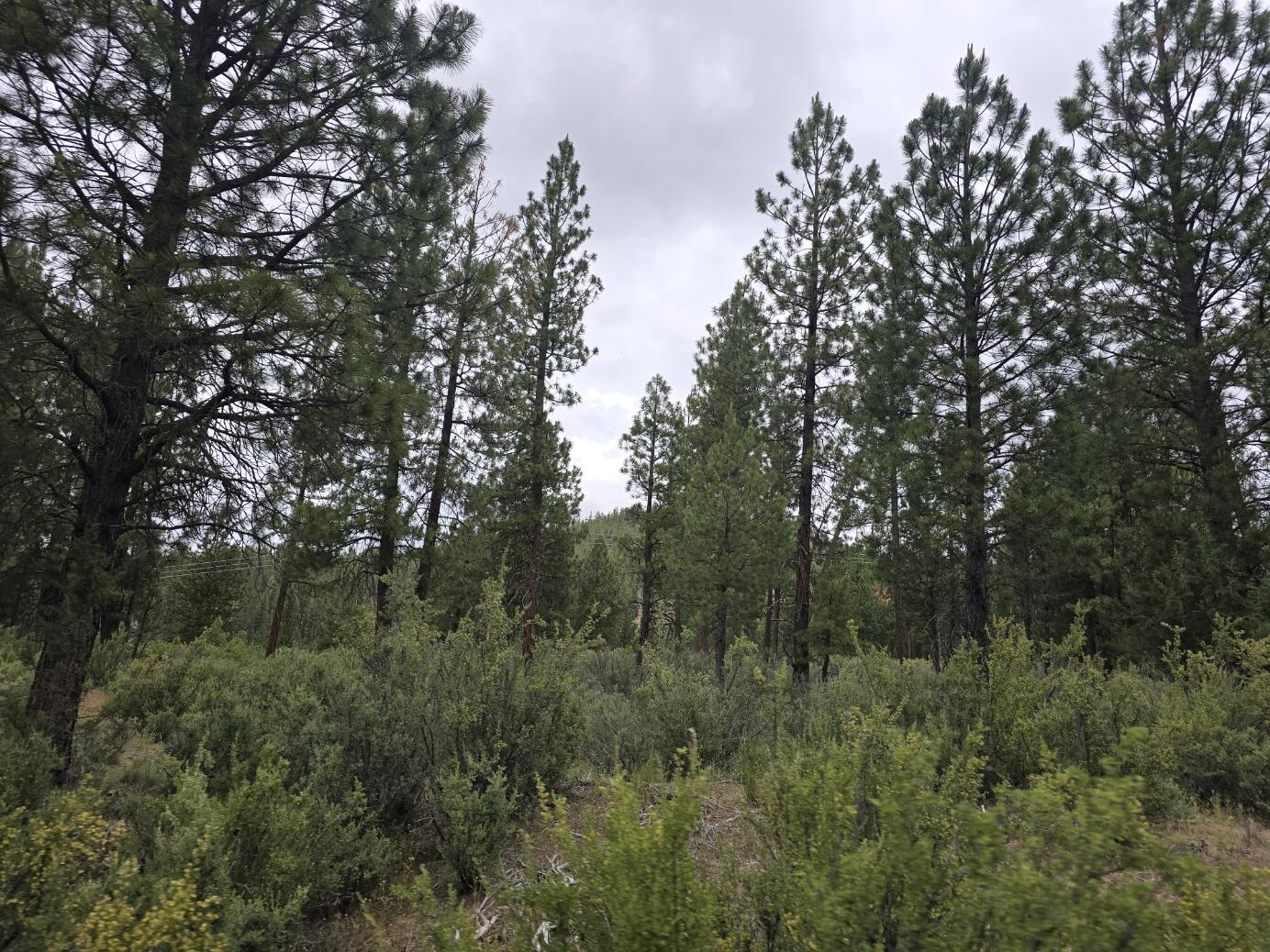 Sprague River - Land