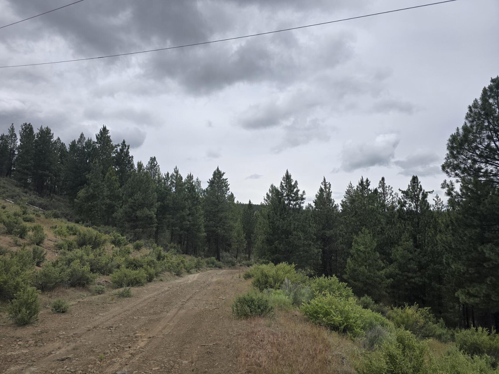 Sprague River - Land