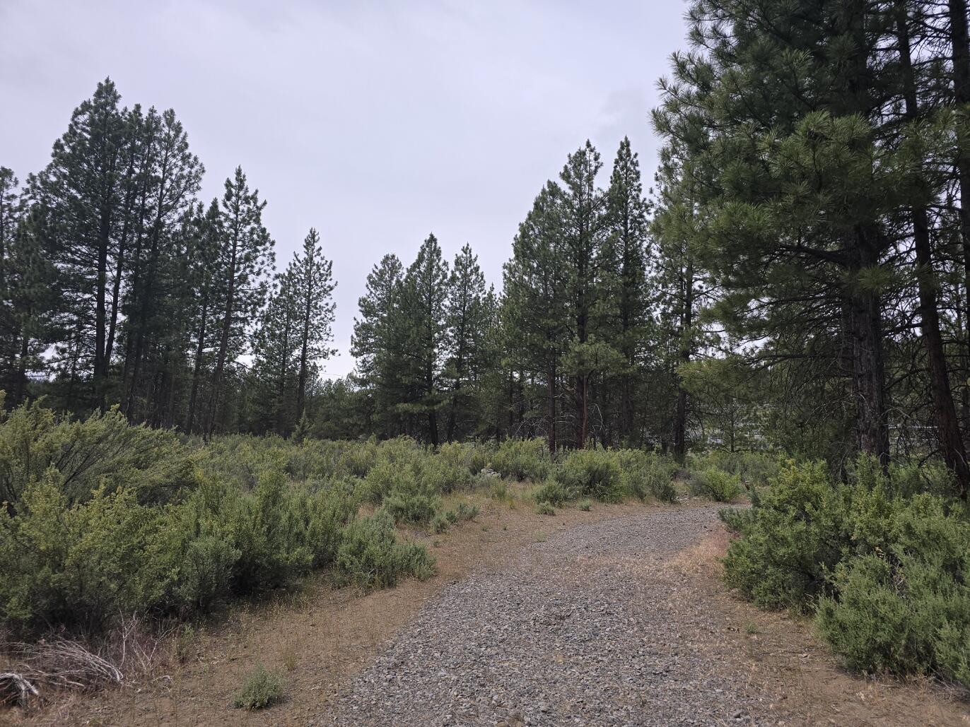 Sprague River - Land